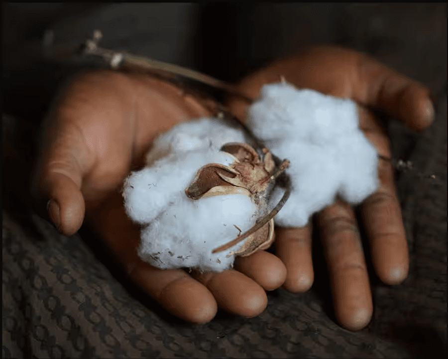 girl holding cotton